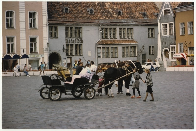 Tallinn. Raekoja plate. Horse archives on the square. View to the Raeaptheegi