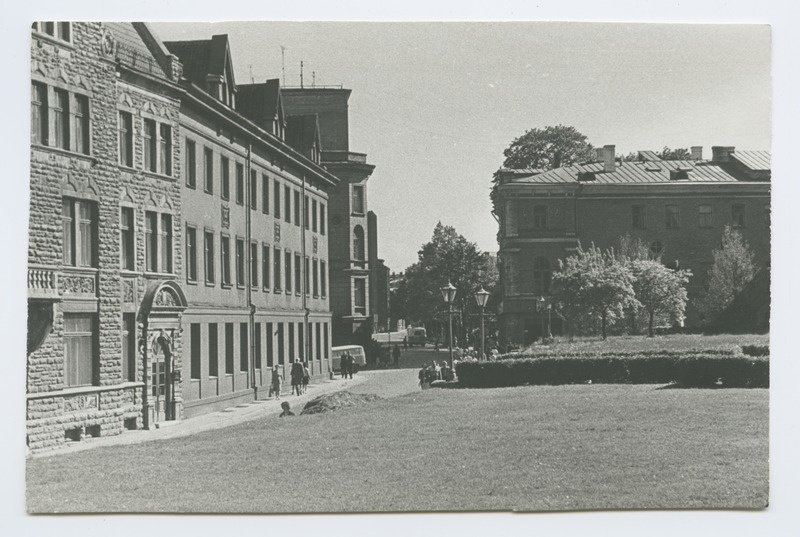 Harju Street, view from the gray area to the area of Freedom.