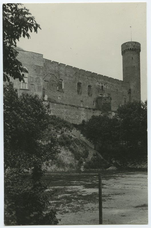 Tallinn, Toompea Castle with Pika Hermann.