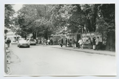 Insects on the Old-Viru street.  duplicate photo