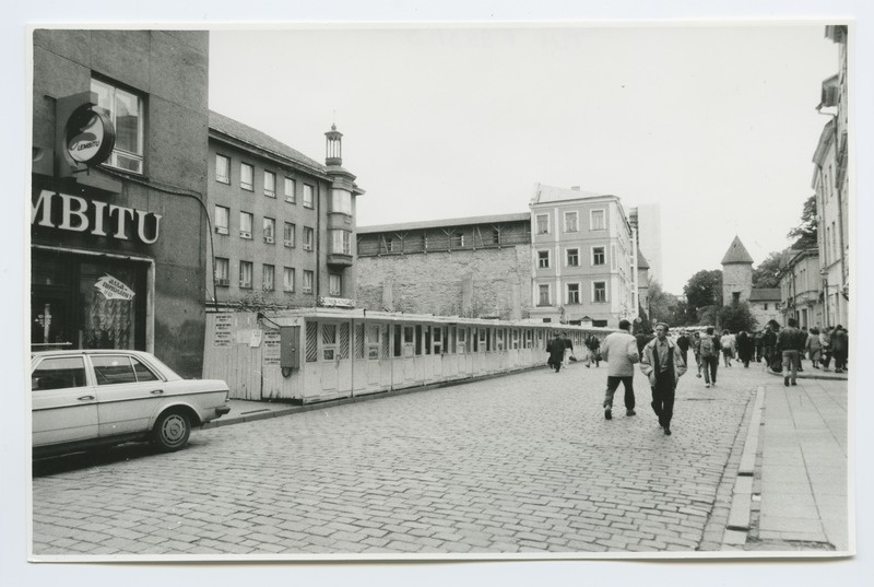 The line of insects on Viru Street in front of the building "Lembitu".