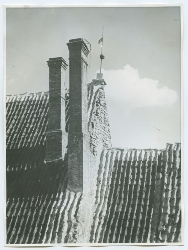 Tallinn, Pakkmaja, roof details.