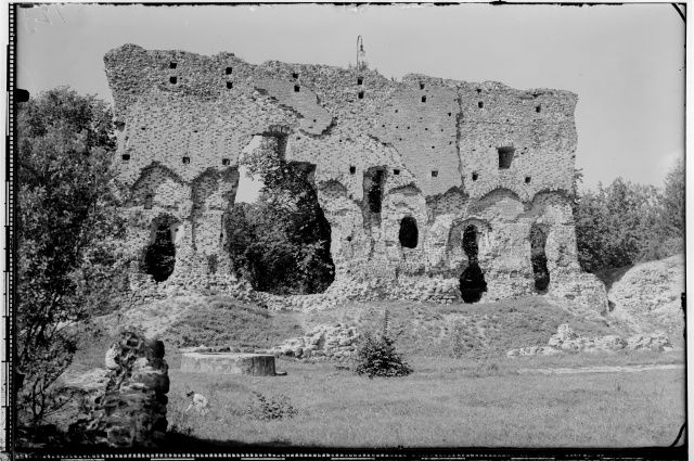 Ruins of Viljandi Order