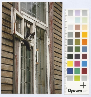 Old wooden house on Kopli lines. Rolled window on open air window cat.  duplicate photo