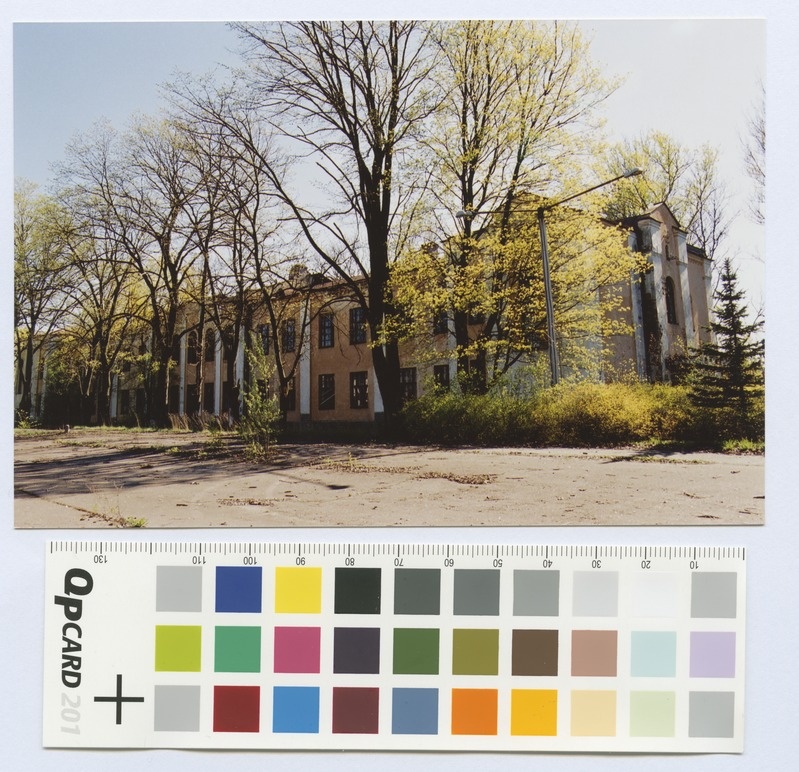 View of the double arc between trees. Colorful.