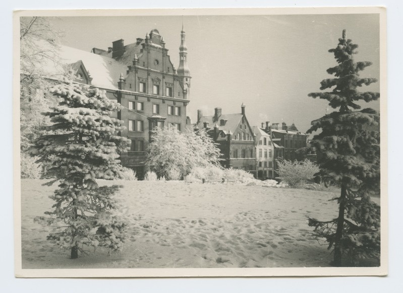 View of the houses of Niguliste and King t.