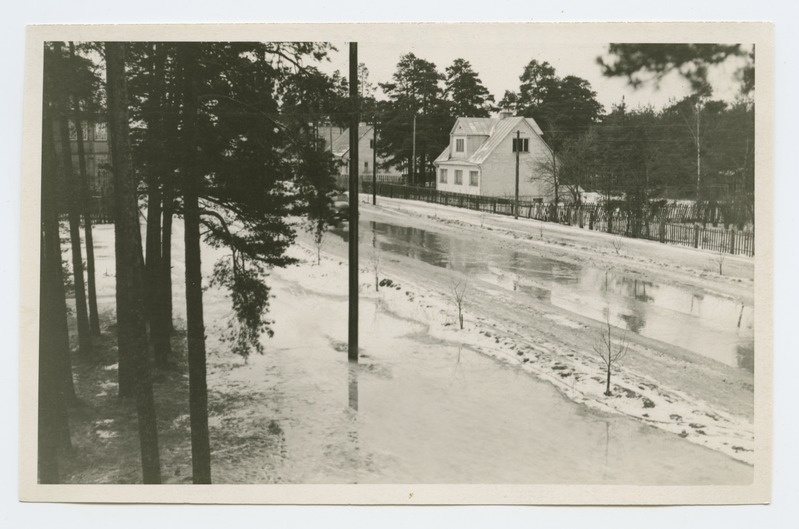 Winter view of Männiku