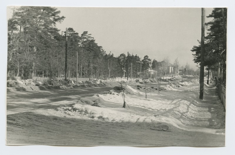 Winter view of Männiku