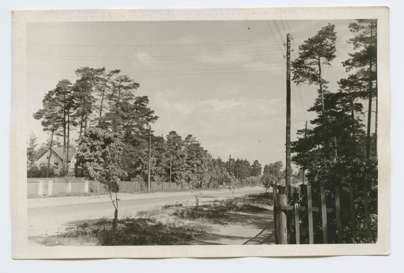 Summer view to Männiku