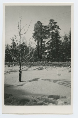 Winter view of Männiku  duplicate photo