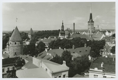 Tallinn. View from Toompea towards the church of Oleviste  duplicate photo