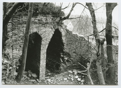 Tallinn. Hundikurstik Georg Eggers snow oven ruins 1840  duplicate photo