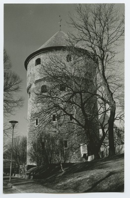 Tallinn. How much in de Kök. Views of the Freedom Square  duplicate photo