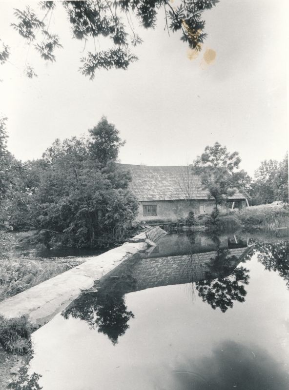 Photo. Goldland water spring. 26.06.1980.
Photo: I.Möldri.
