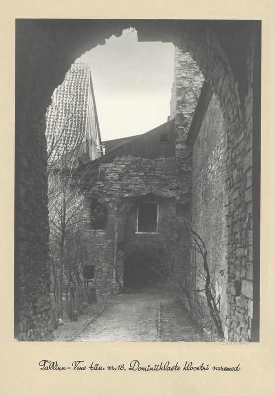 Tallinn, Russian Street, ruins of the Dominican monastery.