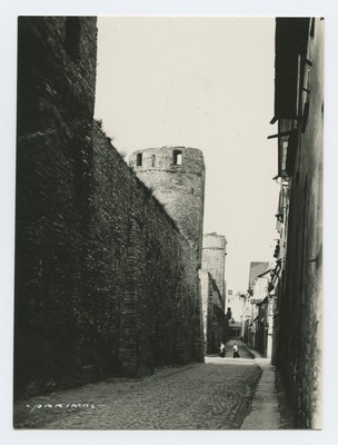 Laboratory Street, view of g. Adolf Gymnasium by Oleviste direction.  duplicate photo