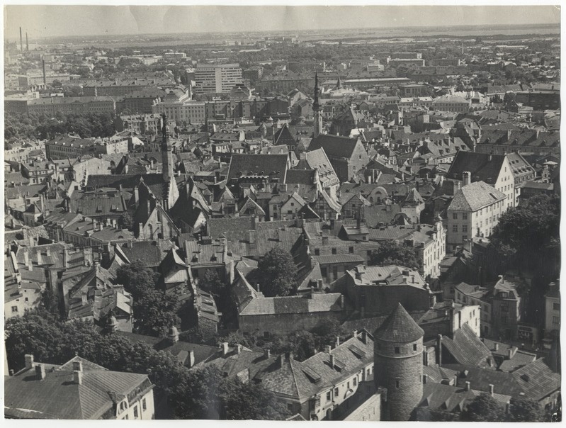 Aerofoto from the under-city roofs.