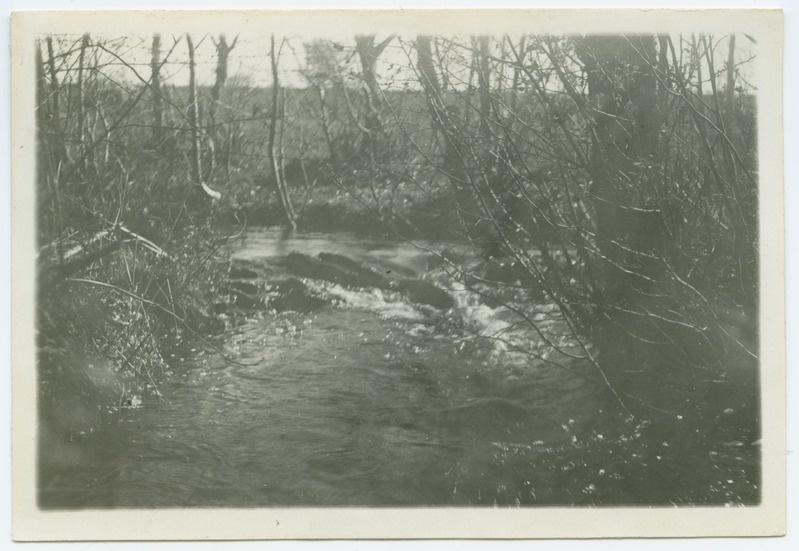 Tallinn, stream Kadriorus at the Hundikuristiku.