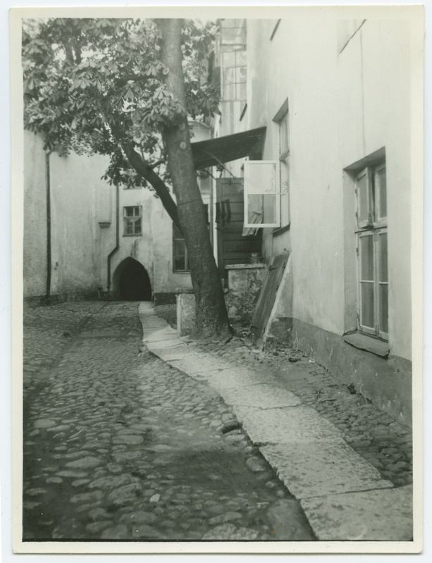 Tallinn, Russian Street 8 hoov.