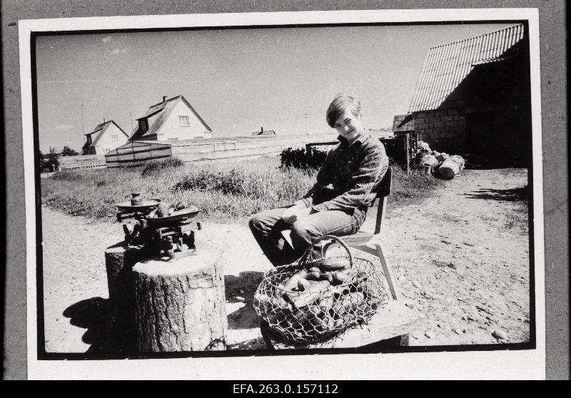 Cucumber seller in Blackwater.