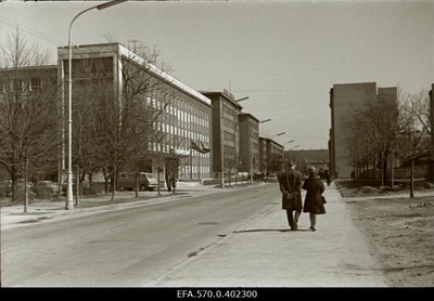 Lomonossov (Gonsiori) Street.  similar photo