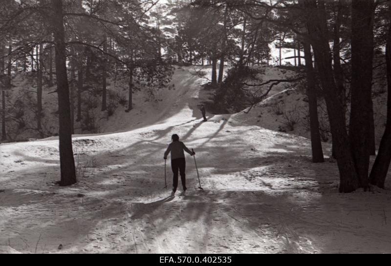Skiers on the Mustamäe.