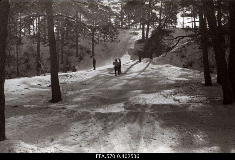 Skiers on the Mustamäe.