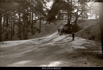 Skiers on the Mustamäe.  similar photo