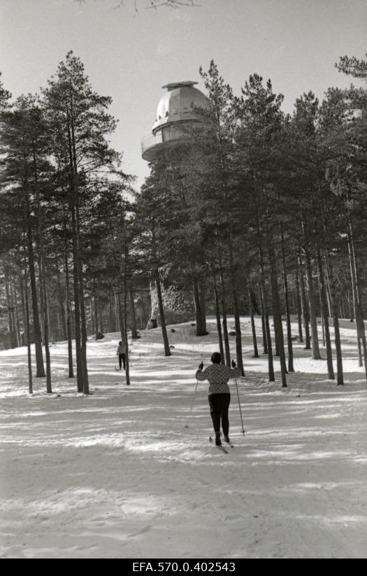 Skiers at the star tower of Glehn Park.