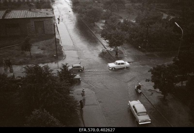 Paduvihm in Tallinn.  similar photo