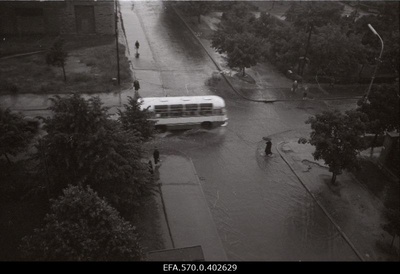 Paduvihm in Tallinn.  similar photo
