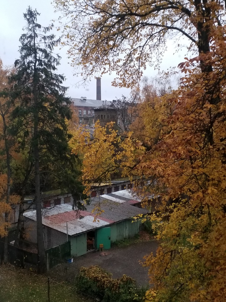 Vaade Balti Puuvillavabrikule. Oktoober 2019