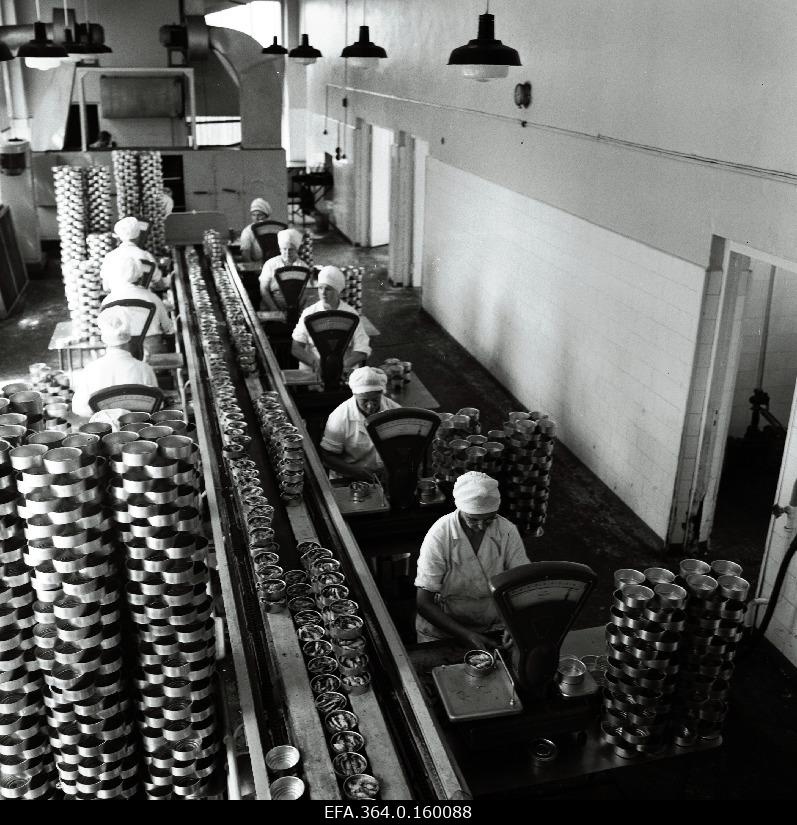 Internal view of the ESCVL Pärnu Kalamajast.