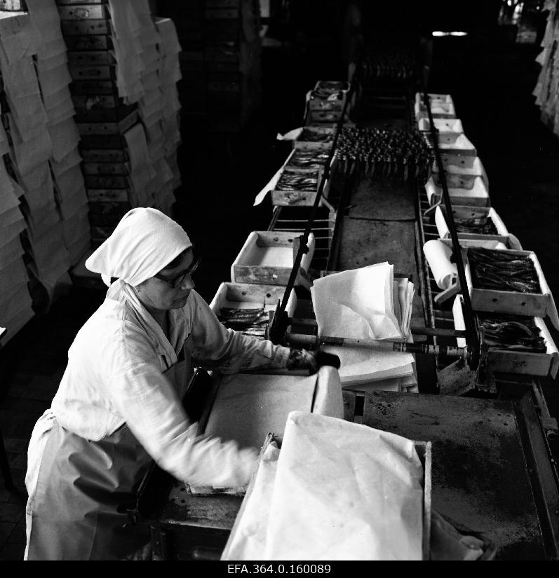 Internal view of the ESCVL Pärnu Kalamajast.