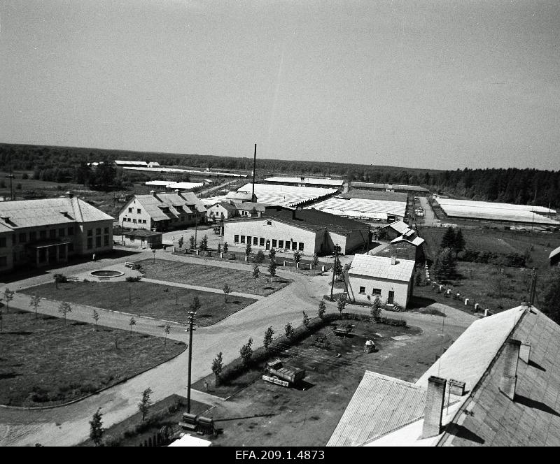 View of the window of the water tower ETKVL Audru Karusloomakasvatuse buildings: (from the left) administrative building with the so-called seal pitch, leather building, refrigeration building, weighthouse and roof of the workshop.