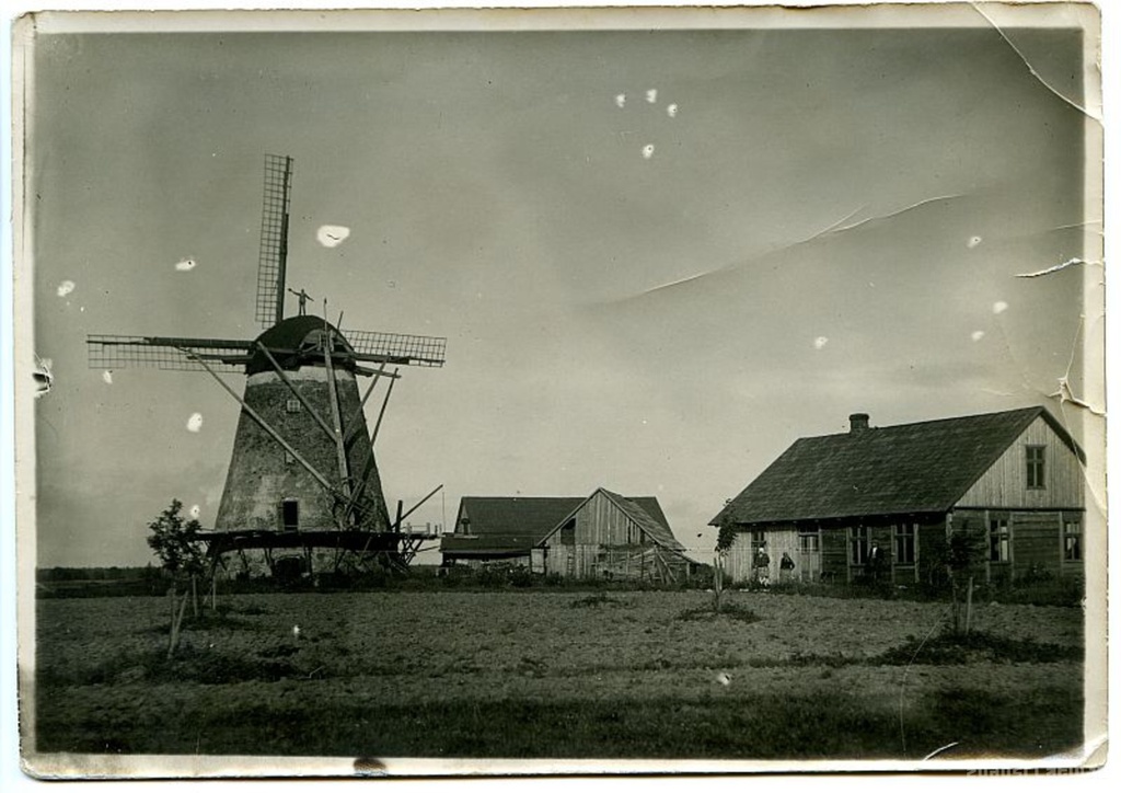 Bruzil windmills