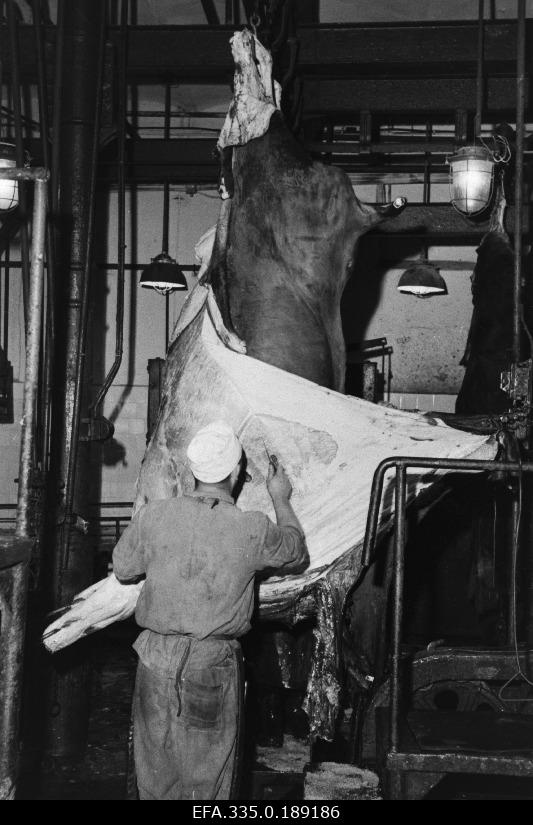 Processing of meat bodies in Pärnu Meat Combination.
