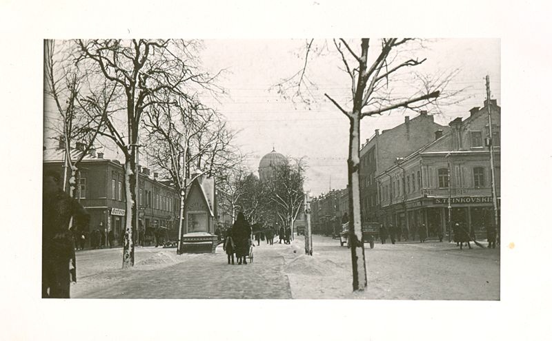 The alignment of freedom in winter. Kaunas