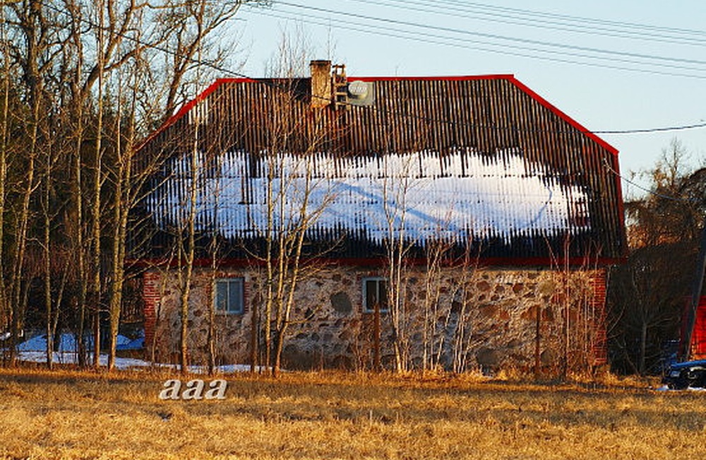 Old-kuuste rural municipality, back view. rephoto