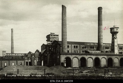 Ruins of the Waldhof cellulose factory (for the press office "News").  duplicate photo