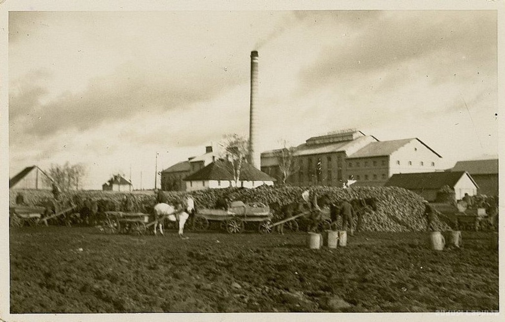 Jelgava sugar factory