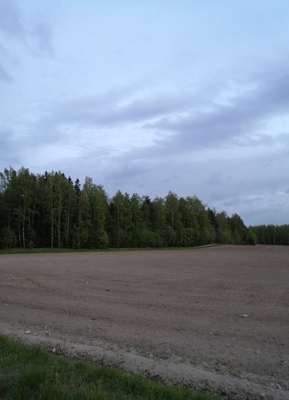 Ilmalaiva Graf Zeppelin Viikin niityn yllä rephoto