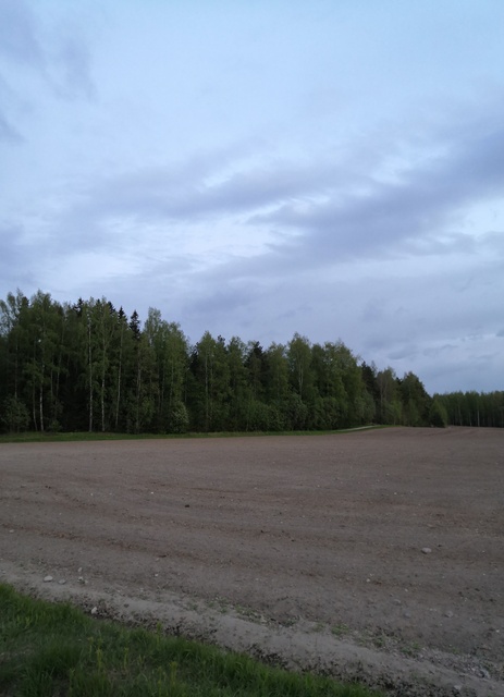 Ilmalaiva Graf Zeppelin Viikin niityn yllä rephoto