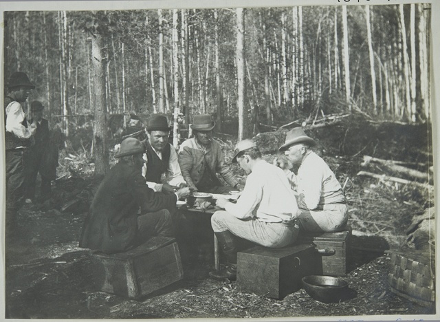 Chestnuts with meals in the woods