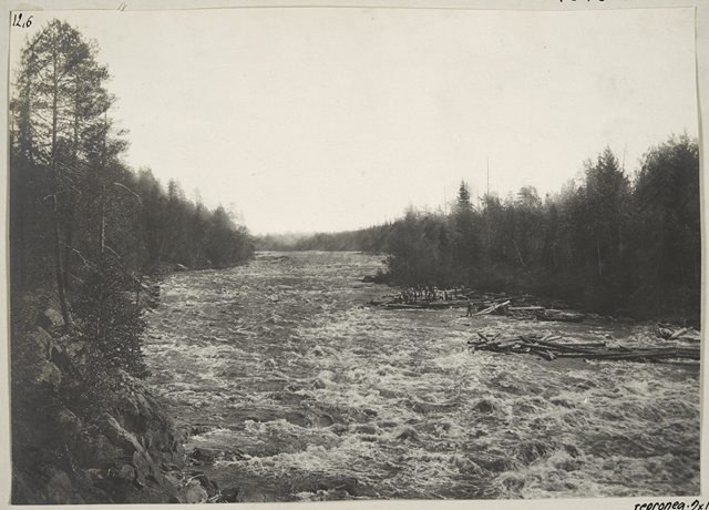 Swimming in Kuusamonkoske