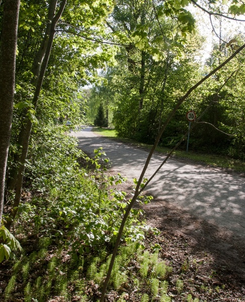Photo Nuia Mountain Viljandi-Oiu highway in Viljandimaa rephoto