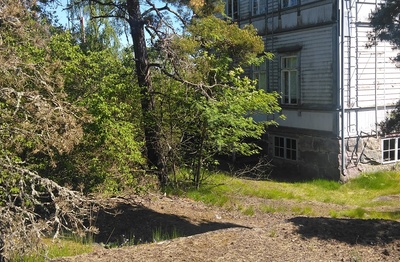 Joukko ihmisiä istumassa ulkona kallioilla ja aurinkotuoleissa Pihlajasaaressa. Oikealla näkyy nk. "Elannon huvila", Wästanhäll. rephoto