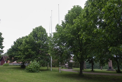 Albu vallamaja rephoto