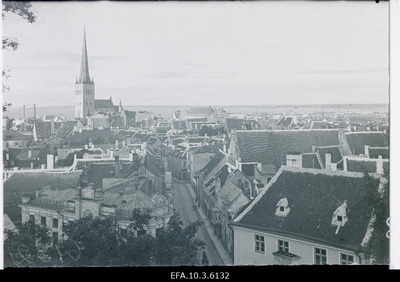 View of Tallinn.  duplicate photo