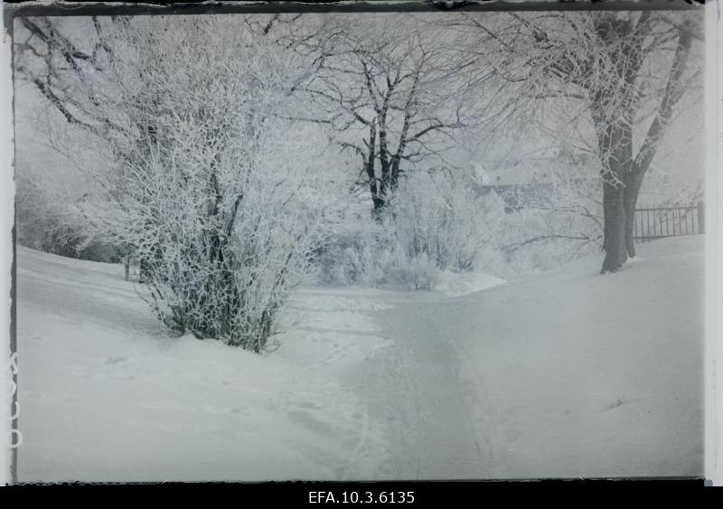 Harju Mountain Park.